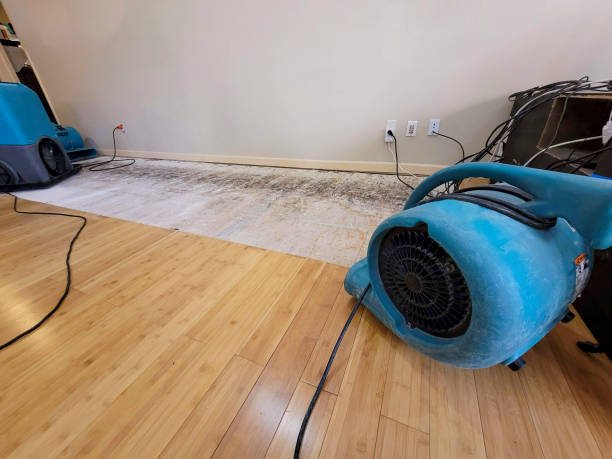 Professional Basement Flood Cleanup technician working in Altura, MN